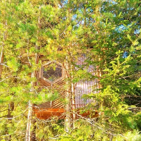 Yopuu - Tiny Treehouse Apartmán